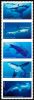 #5223S- (49¢) Sharks