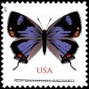 #5568 - (75¢) Colorado Hairstreak Butterfly