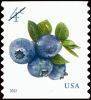 #5653 - 4¢ Blueberries