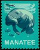 #5851 - Save Manatees