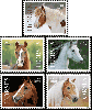 #5891S- Horses