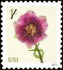 #5897 - 1¢ Fringed Tulip