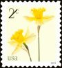 #5898 - 2¢ Daffodils