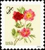 #5899 - 3¢ Peonies