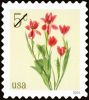 #5900 - 5¢ Red Tulips