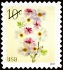 #5901 - 10¢ Poppies & Coneflowers