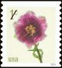 #5902 - 1¢ Fringed Tulip