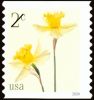 #5903 - 2¢ Daffodils
