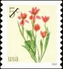 #5905 - 5¢ Red Tulips