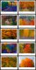 #5929S- Autumn Colors