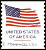 #6018 - U.S. Flag