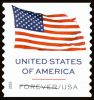 #6019 - U.S. Flag