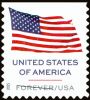 #6021 - U.S. Flag