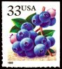 #3294 - 33¢ Blueberries
