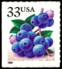 #3298 - 33¢ Blueberries