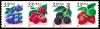 #3302S - 33¢ Berries set of 4