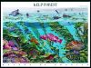 #4423 - 44¢ Kelp Forest