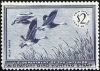 #RW22 - $2 Blue Geese