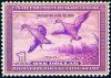 # RW5 - $1 Pintail Ducks