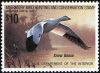 #RW55 - $10 Snow Goose