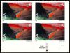 #C134 - 40¢ Rio Grande: Plate Block