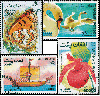 100 Afghanistan