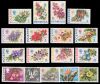 Bermuda # 255-71