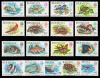 Bermuda # 363-79