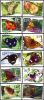 Tin Can Island Butterflies