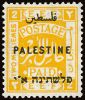 Palestine #49