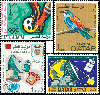 50 Qatar