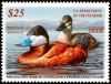 #RW82 - $25 Ruddy Ducks