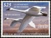 #RW83 - $25 Trumpeter Swans