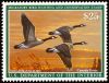 #RW84 - $25 Canada Geese