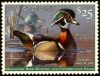 #RW86 - $25 Wood Duck