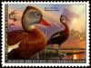 #RW87 - $25 Black-Bellied Whistling Duck