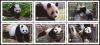 Tonga #1461 Giant Panda