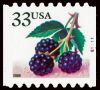 #3406 - 33¢ Blackberries
