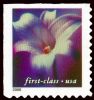 #3454 - Lilies (34¢) 10.5x10.75