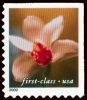 #3455 - Lilies (34¢) 10.5x10.75