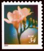 #3478 - 34¢ Lilies 8.5 vert.