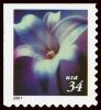 #3487 - 34¢ Lilies Booklet 10 1/2 x 10 3/4