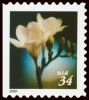 #3489 - 34¢ Lilies Booklet 10 1/2 x 10 3/4