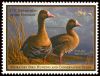 #RW78 - $15 White-Fronted Geese