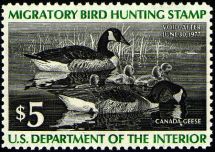 #RW43 - $5 Canada Geese