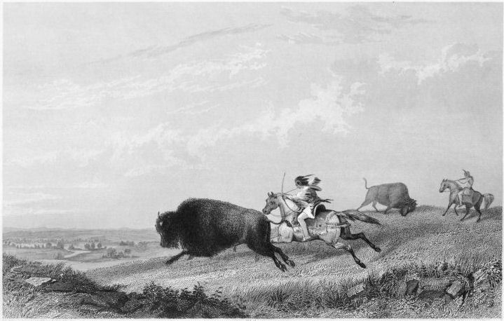Buffalo Chase engraving
