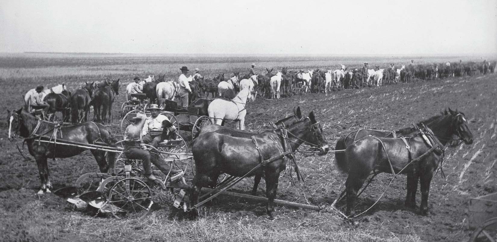 Farming in the West
